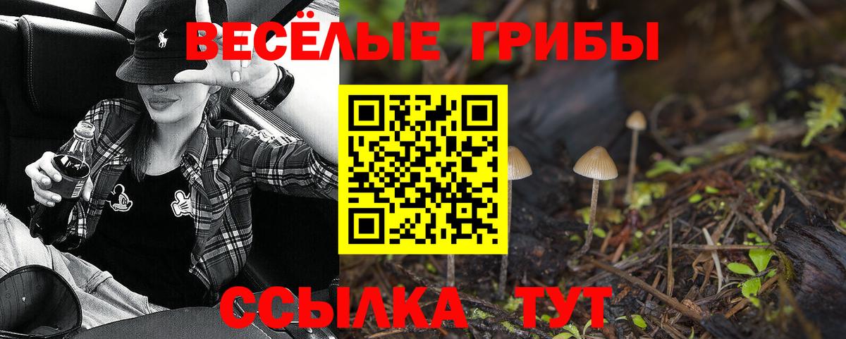 Севастополь  Галлюциногенные грибы Psilocybe  Галлюциногенные грибы Psilocybine cubensis  Вход с VPN 